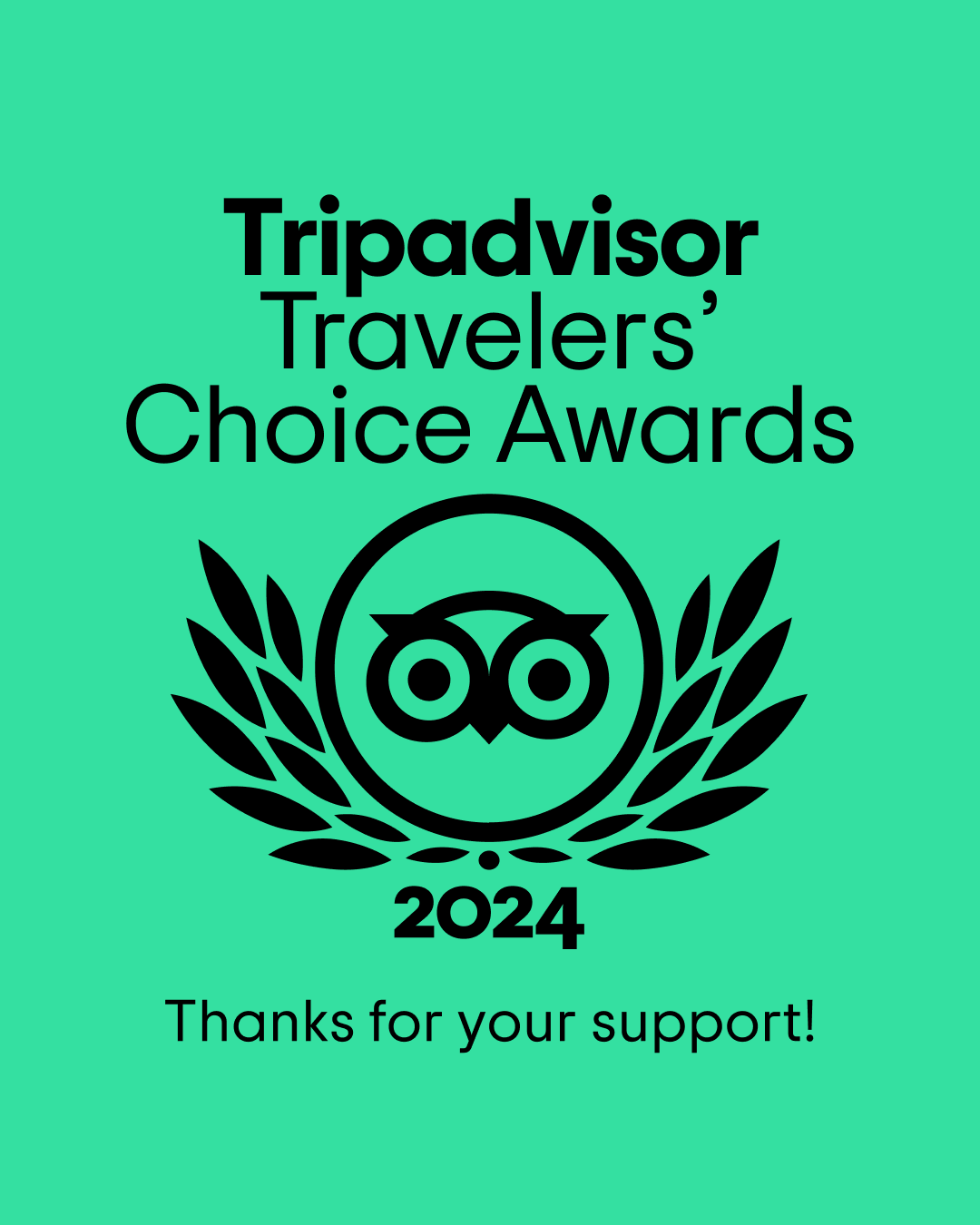 tripadvisor travelers choice awards kifaru