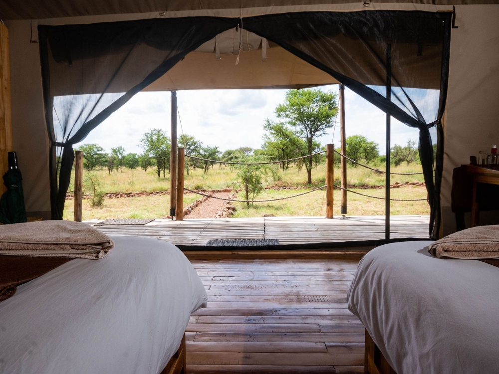 bedroom view - Serengeti Kifaru Tented Lodge